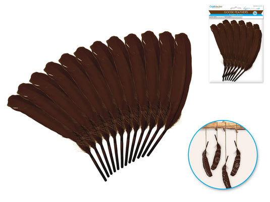 Feather Craft: 8" Goose Feathers x12 C) Brown