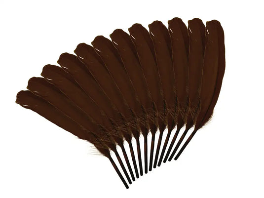 Feather Craft: 8" Goose Feathers x12 C) Brown