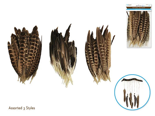 Feather Craft: 6"-8" Au Naturel 8g Asst 16eax3styles