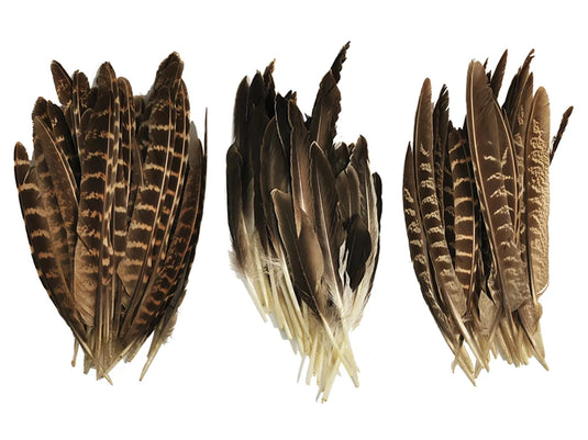 Feather Craft: 6"-8" Au Naturel 8g Asst 16eax3styles