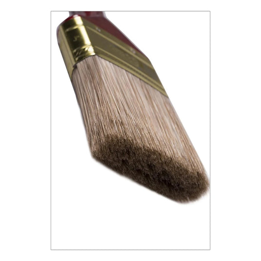 H.E. Paint Pro, 2.5" Paintbrush, vinyl bag w/ label